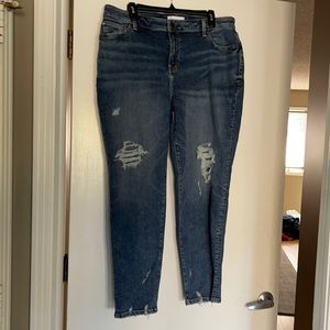 Lane Bryant Jeans